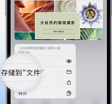 疏附apple维修中心分享iPhone文件应用中存储和找到下载文件