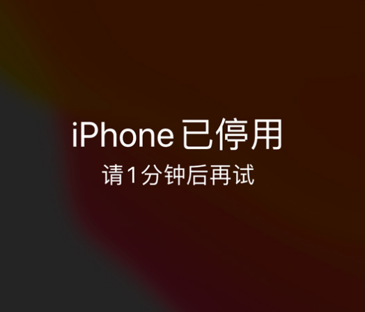 疏附苹果手机维修分享:iPhone 显示“不可用”或“已停用”怎么办？还能保留数据吗？ 