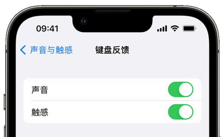 疏附苹果手机维修分享iPhone 14触感键盘使用方法 