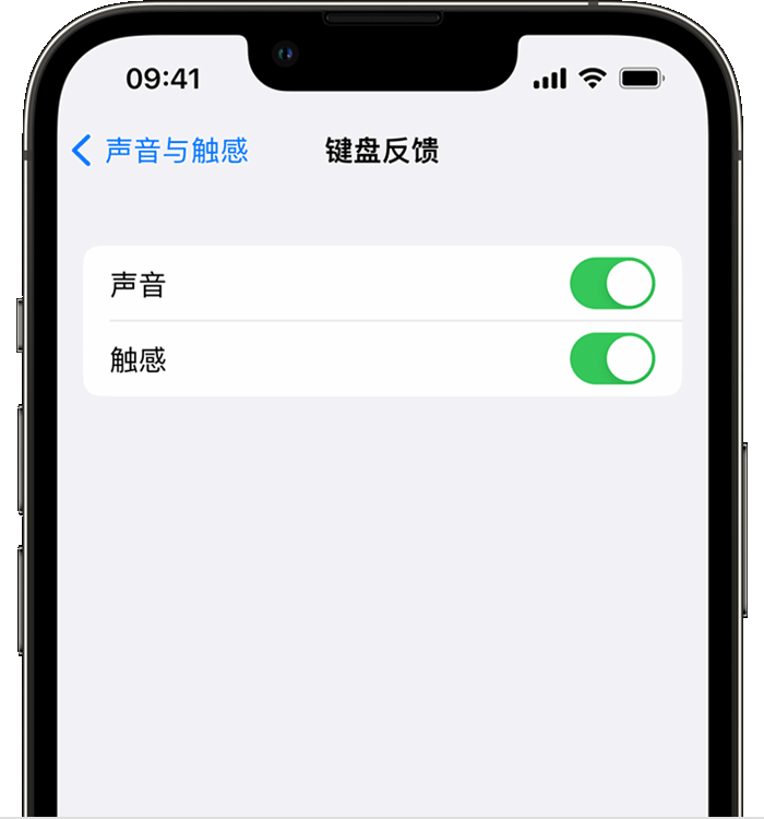 疏附苹果14维修店分享如何在 iPhone 14 机型中使用触感键盘 