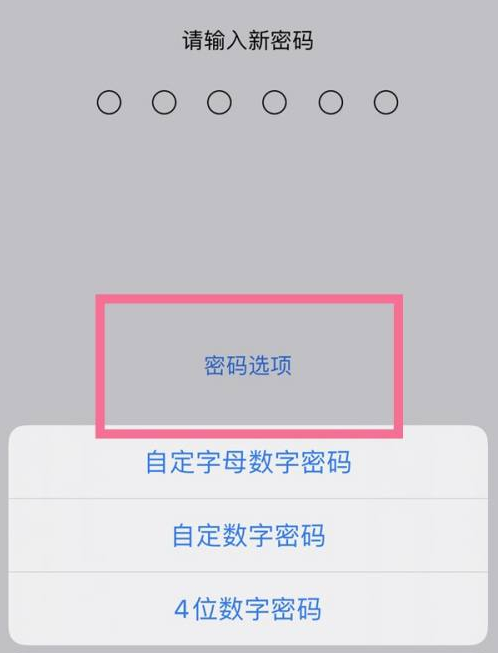 疏附苹果14维修分享iPhone 14plus设置密码的方法 