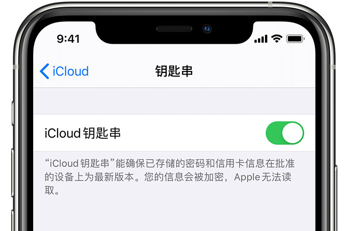 疏附苹果手机维修分享在 iPhone 上开启 iCloud 钥匙串之后会储存哪些信息 