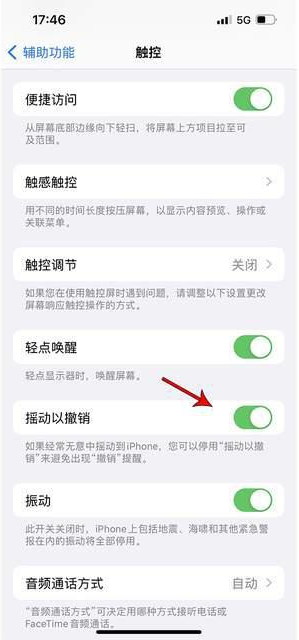 疏附苹果手机维修分享iPhone手机如何设置摇一摇删除文字 